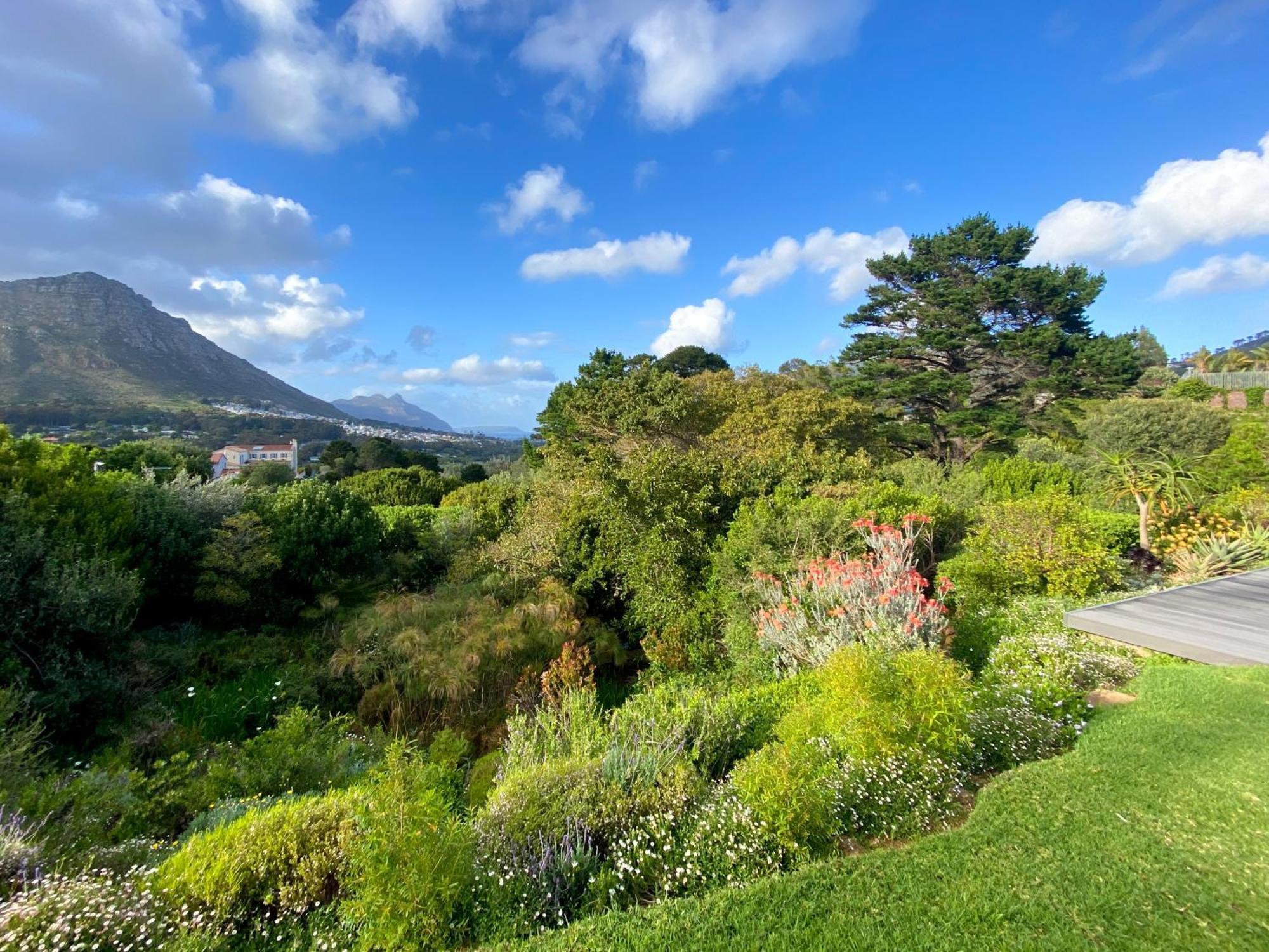 Luxe Family Home With Solar Power In Secure Hout Bay Estate كيب تاون المظهر الخارجي الصورة